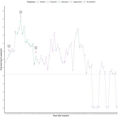 Refractory human cytomegalovirus infection without evidence of genetic resistance in the UL-54 and UL-97 genes in a pediatric hematopoietic stem cell transplant recipient: a case report